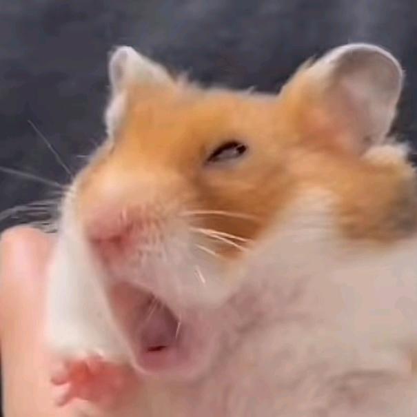 林晧sup