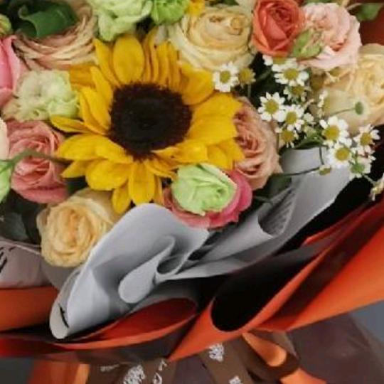 快乐过好每一天