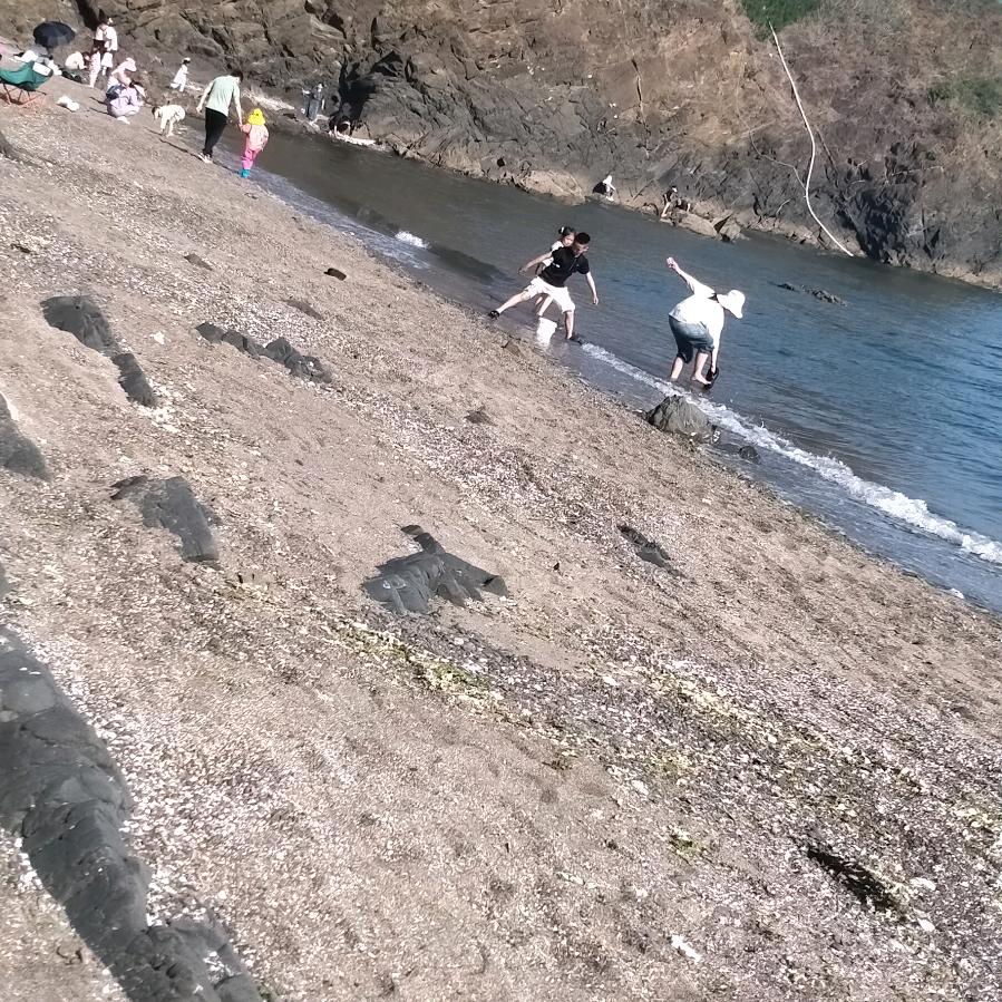红果