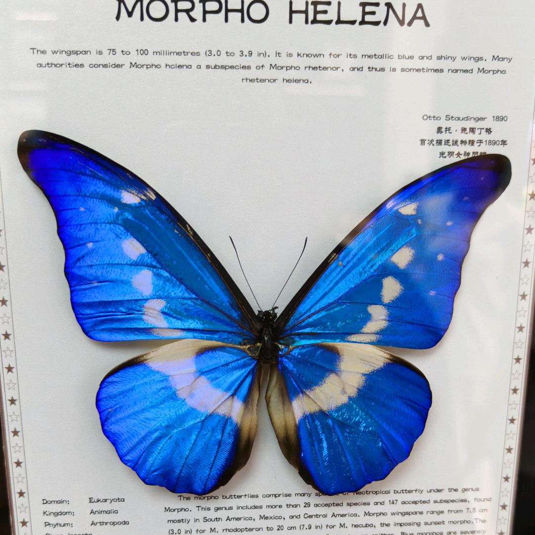 💕ᭉᬁ᭄珎💞暿᭨ᬁ᭄💕