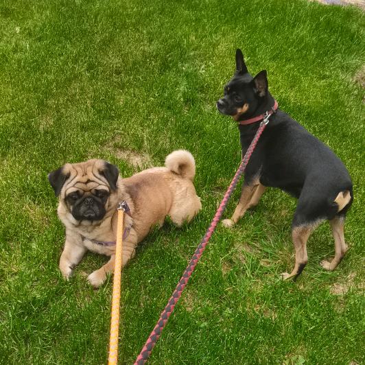 谷根孕婴星港城店