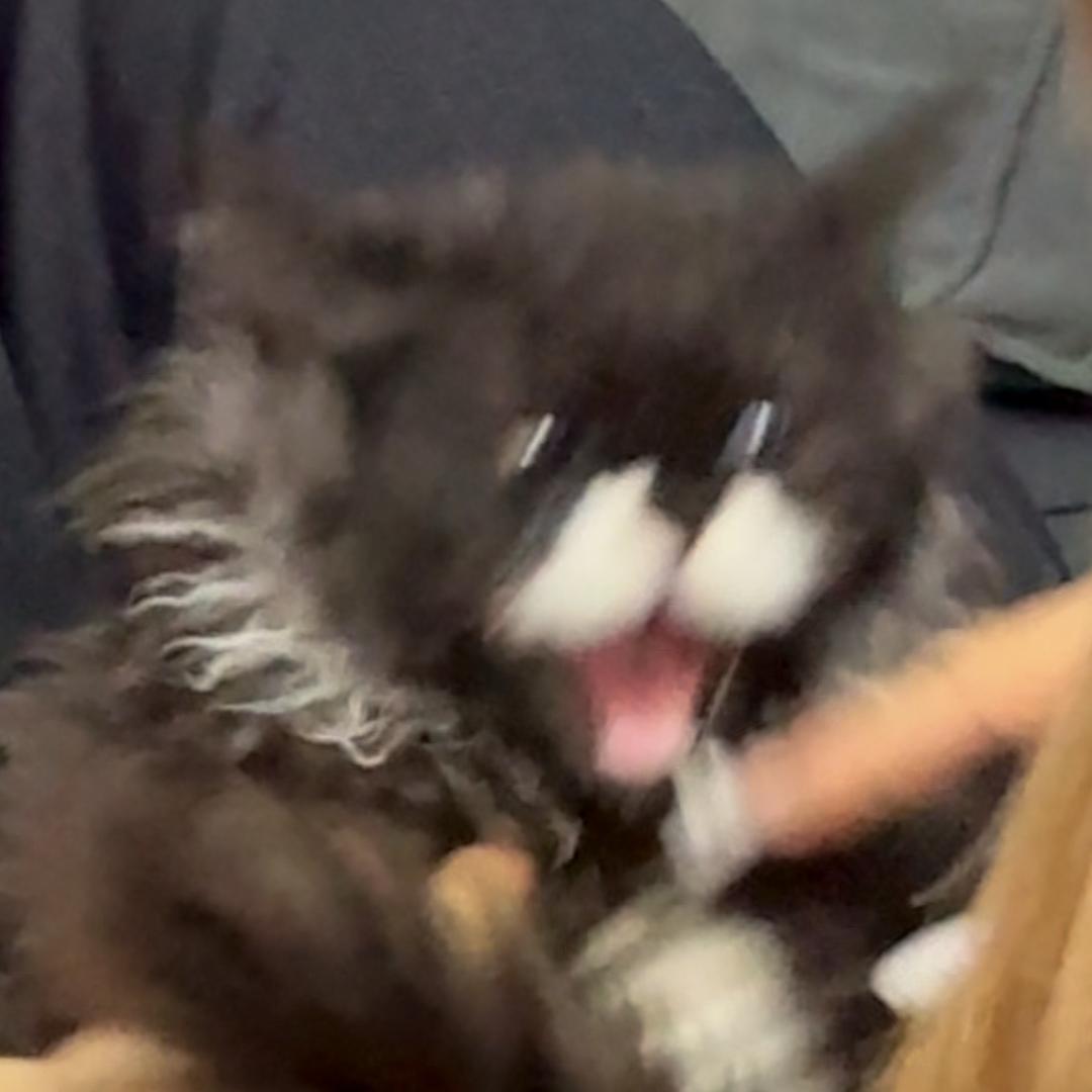 灶坑