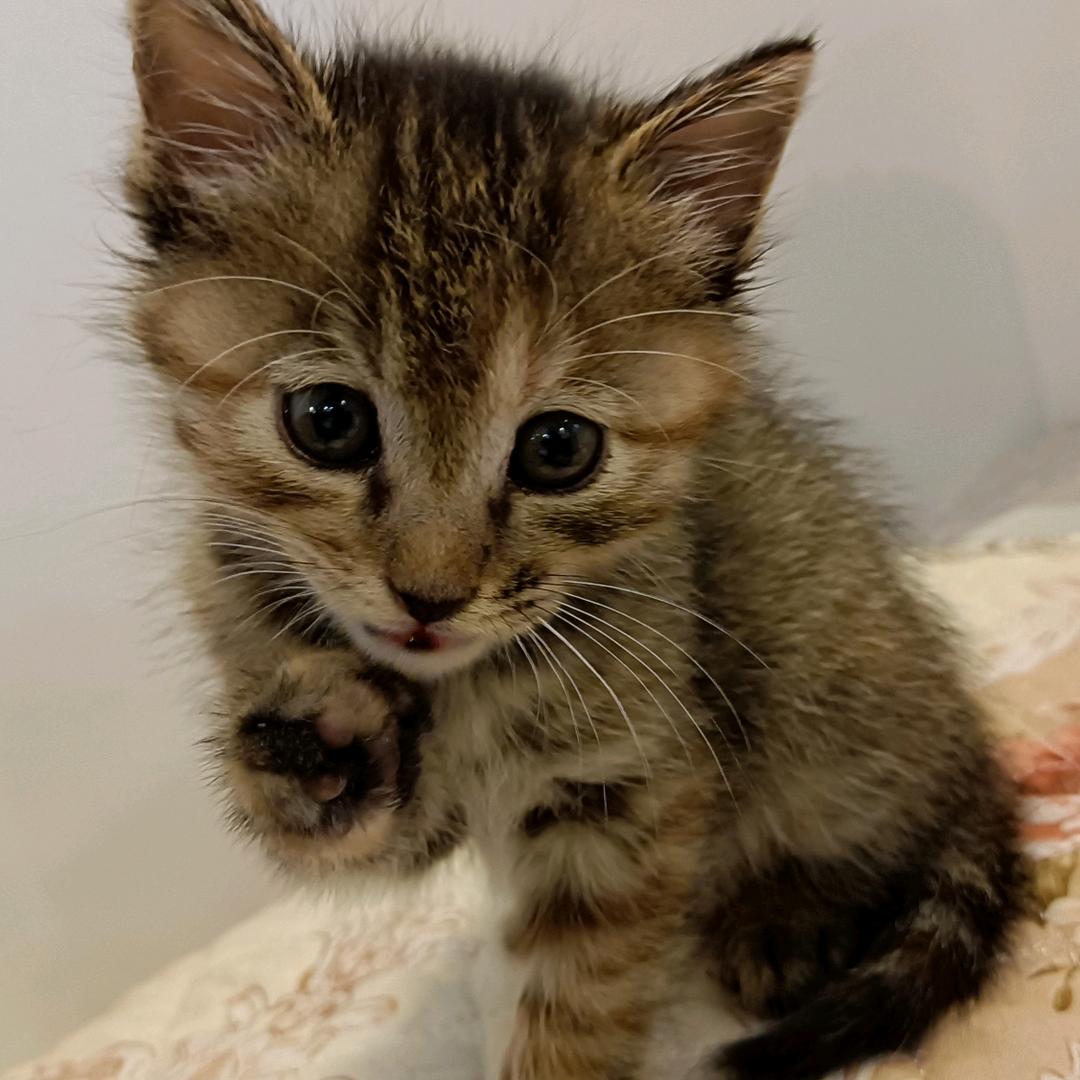 演绎那场纠结499