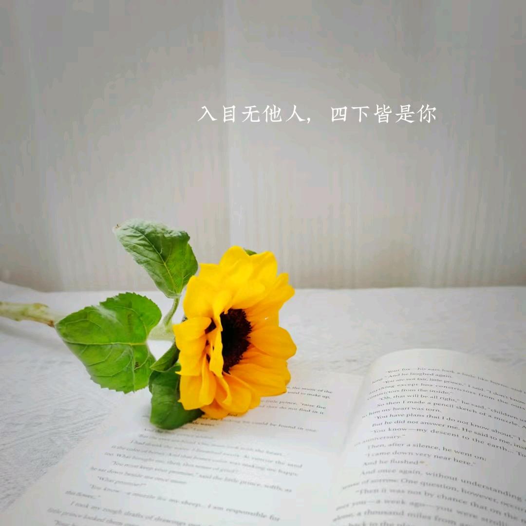 十月阅读