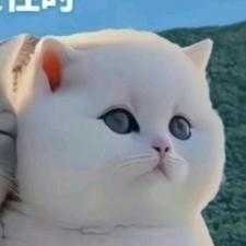 小鱼海棠.