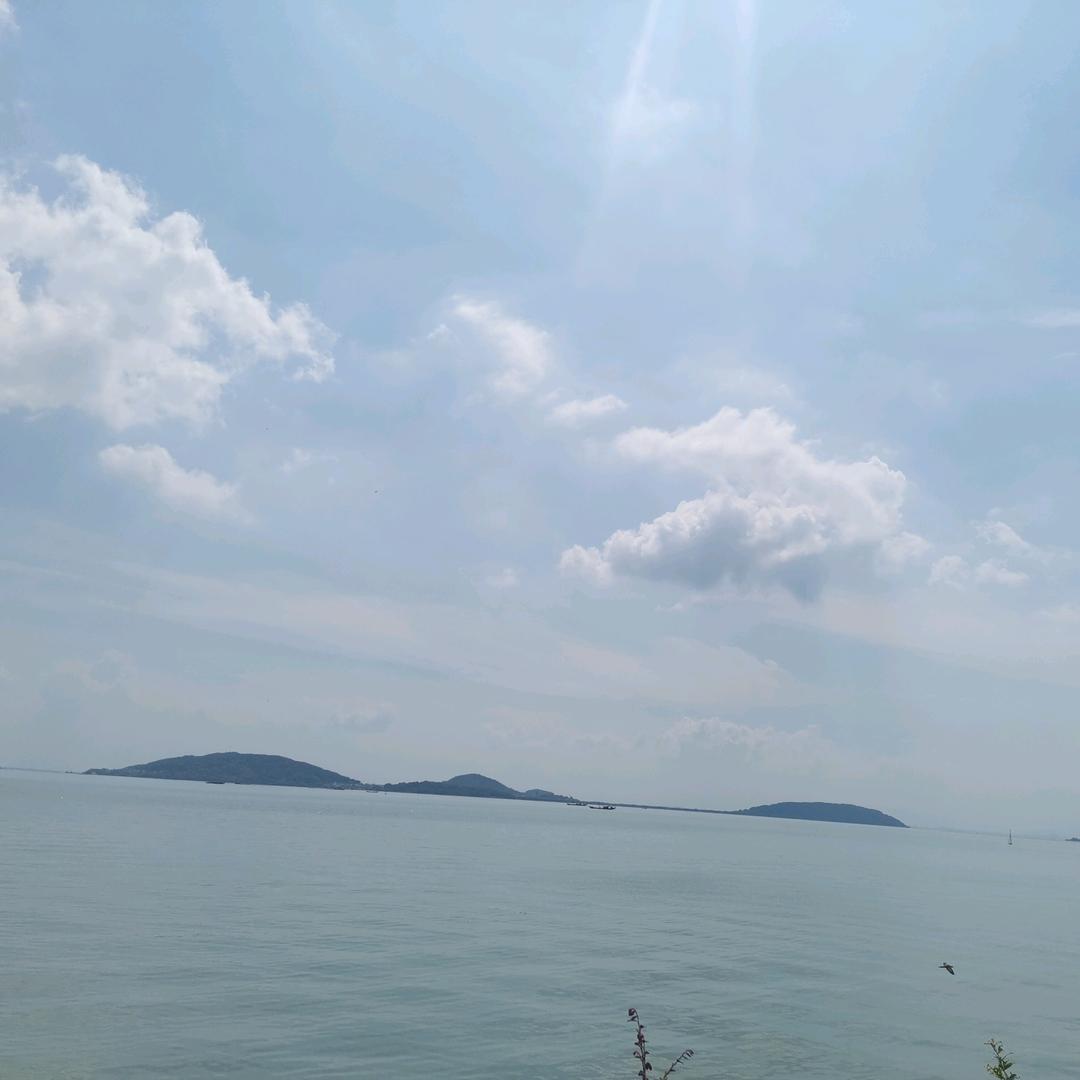 六安市裕安区韩摆渡镇诚信隆土鸡养殖厂