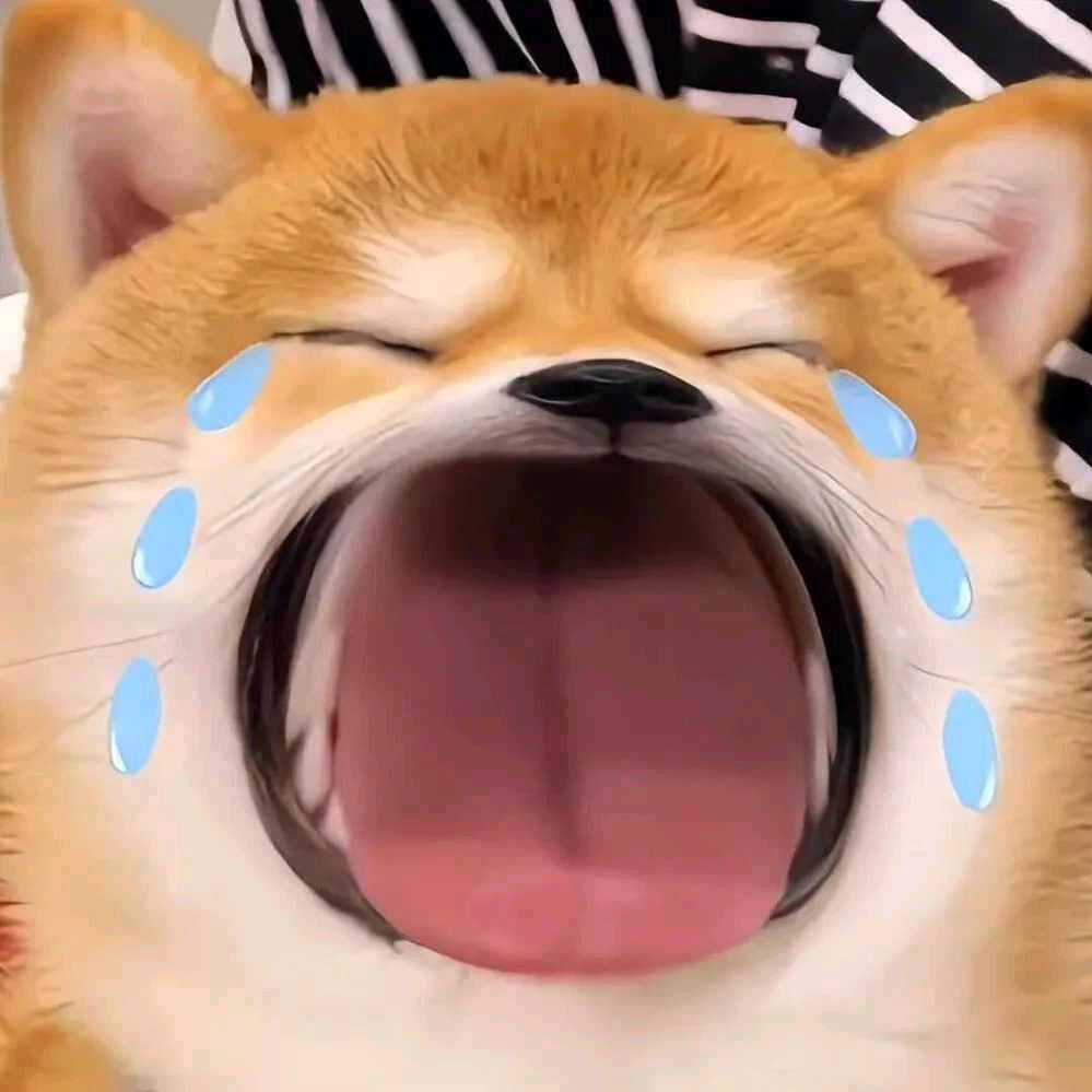 不当搞笑男