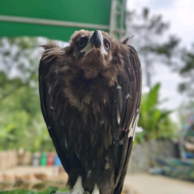 @沙雕很快乐