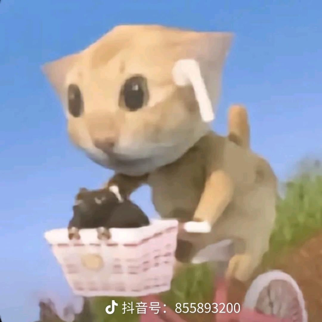 小青提o(≧口≦)o