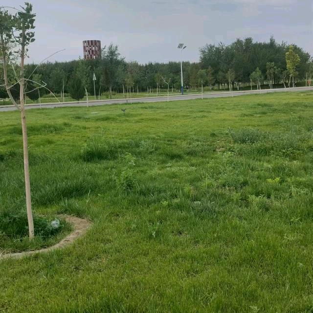 as