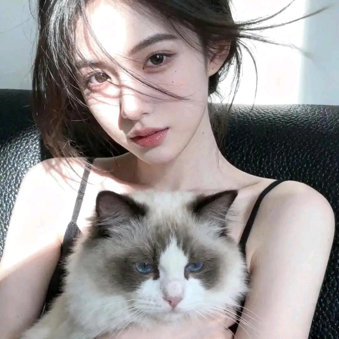 蓝桉 九愿