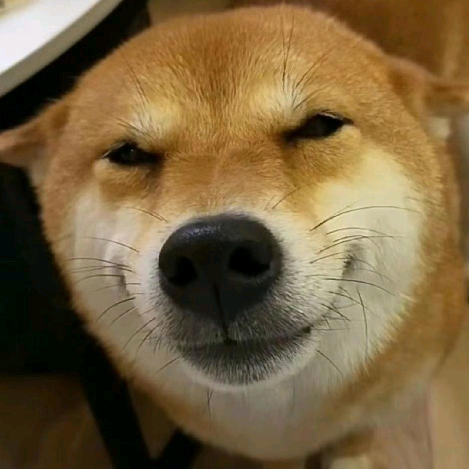 扣掉你的门牙