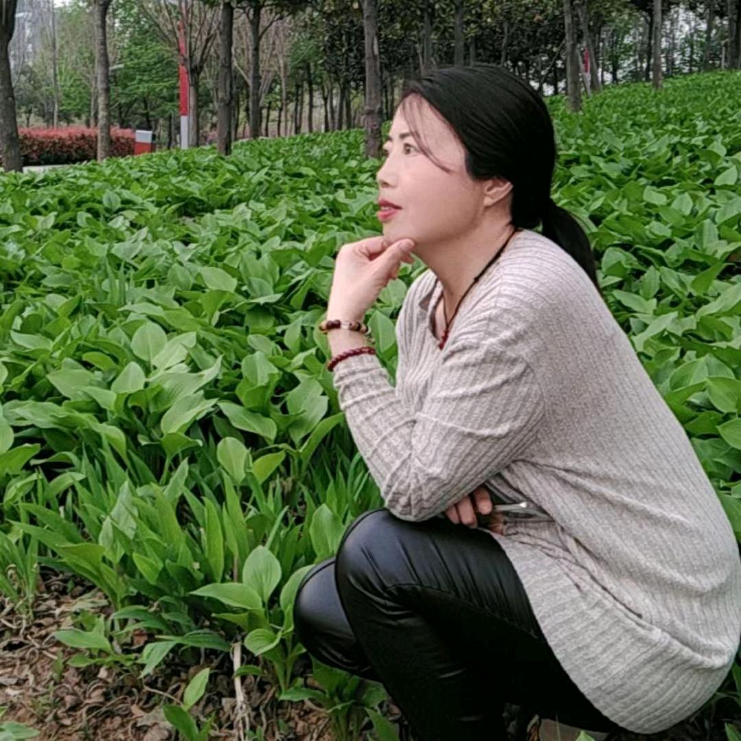 汝州峰云装饰延芳