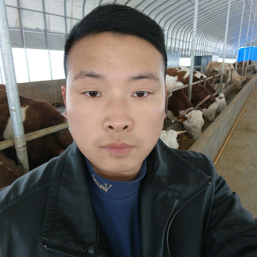 返乡大刘