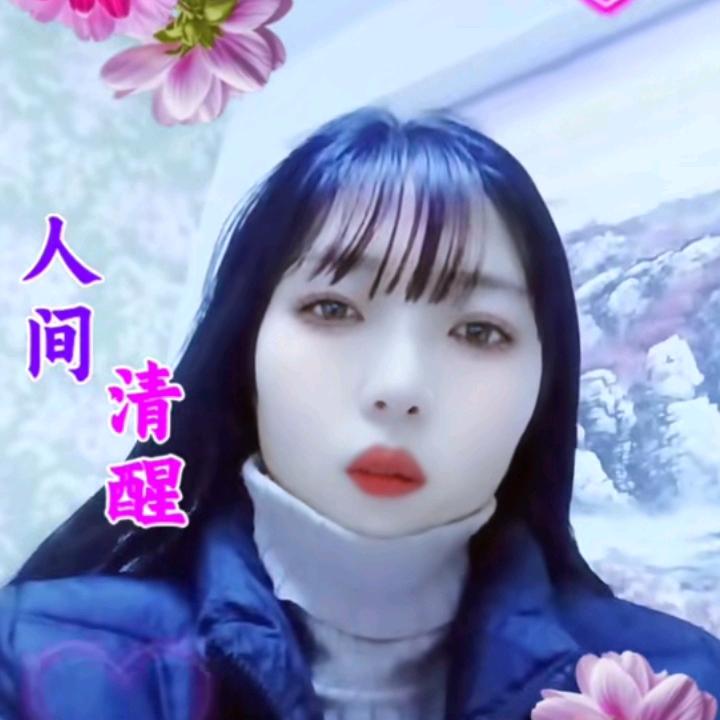 桐城小花（小芳）