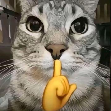 鸡皮果之神