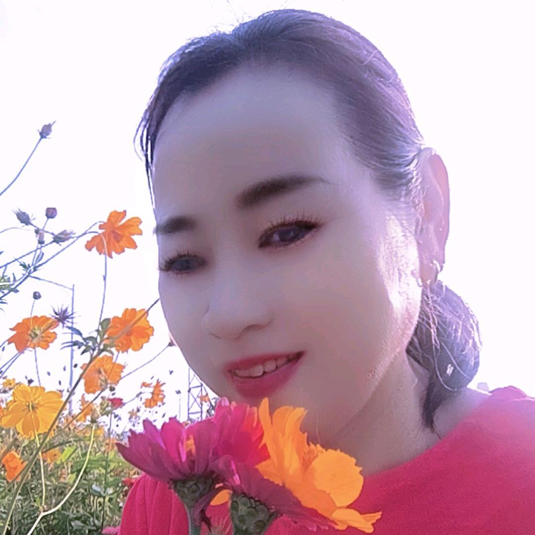 好运来熊赠金จุ๊บ