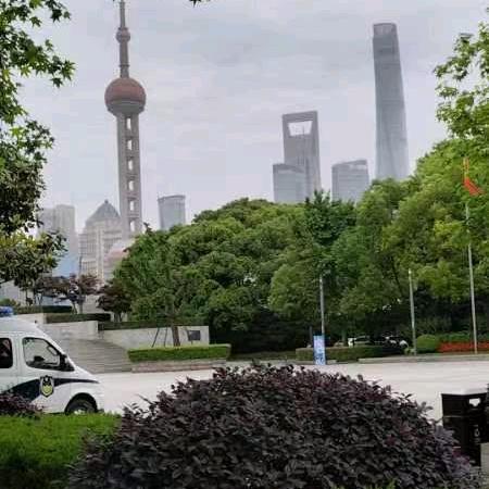 💕心若向阳🌻