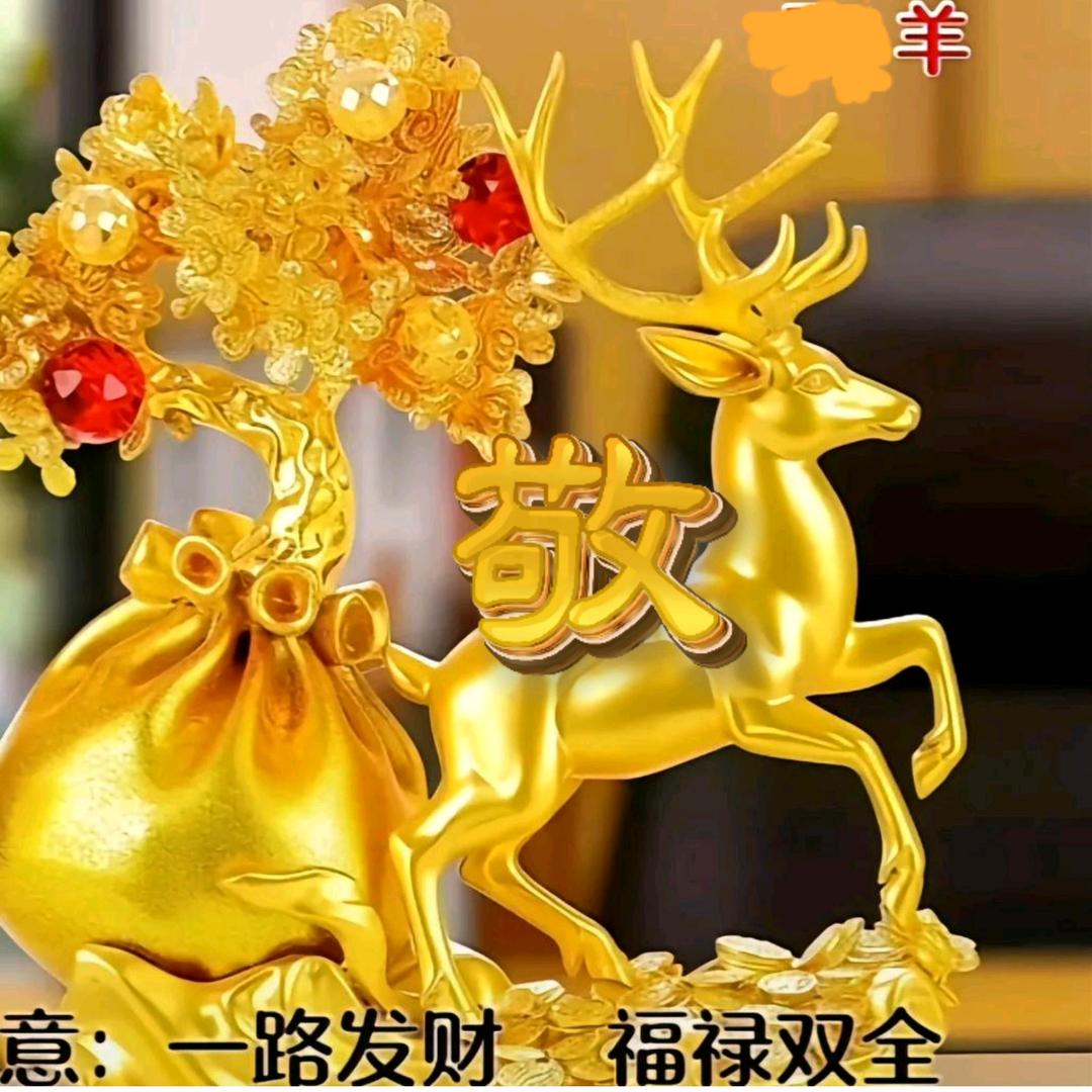 美好人生敬老师