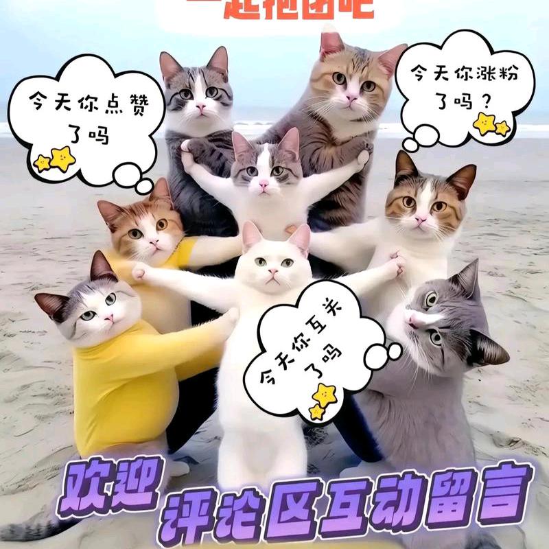 小一新人互关互赞一千万涨有效粉直播间