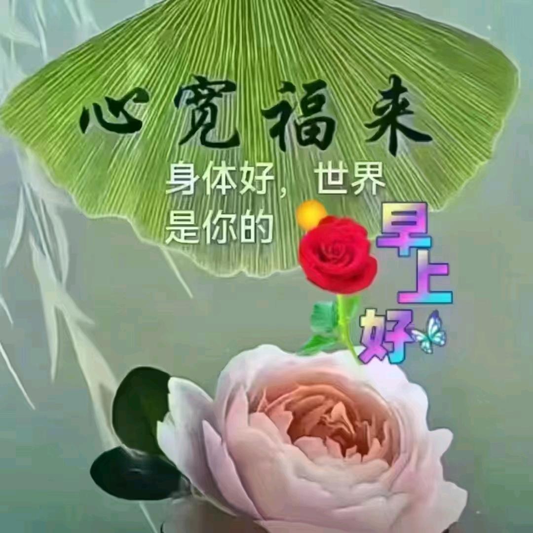 看淡一切