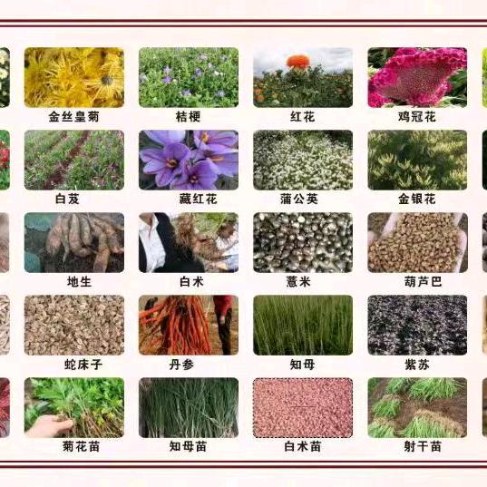 信达农业种植收购