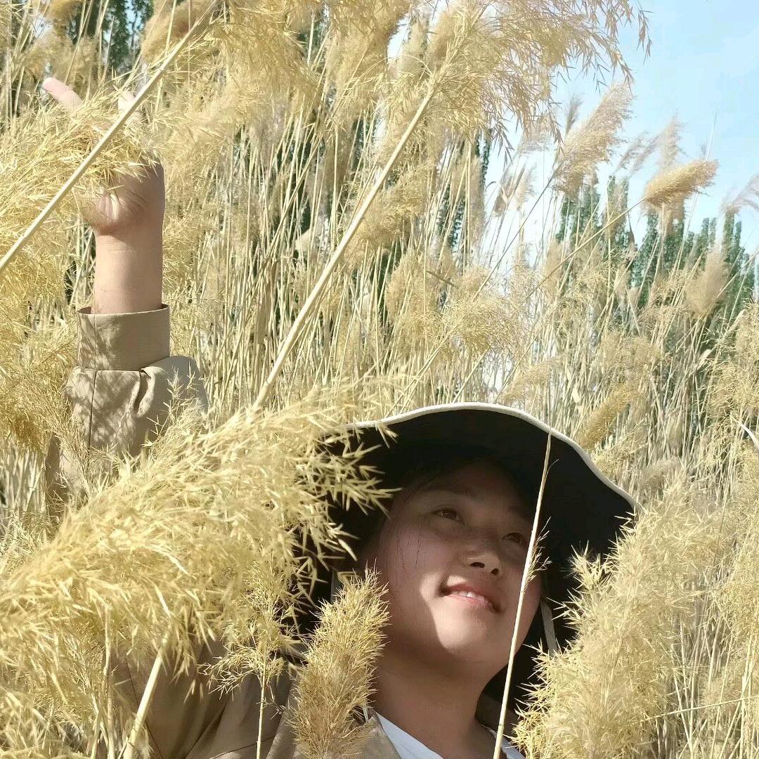 一支花（ZT团队）