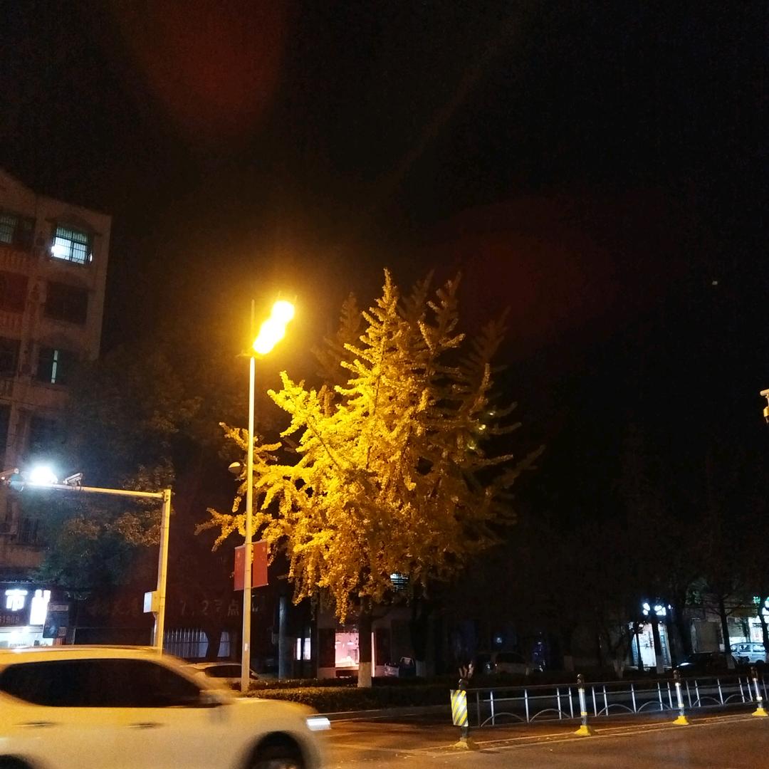 艳阳天