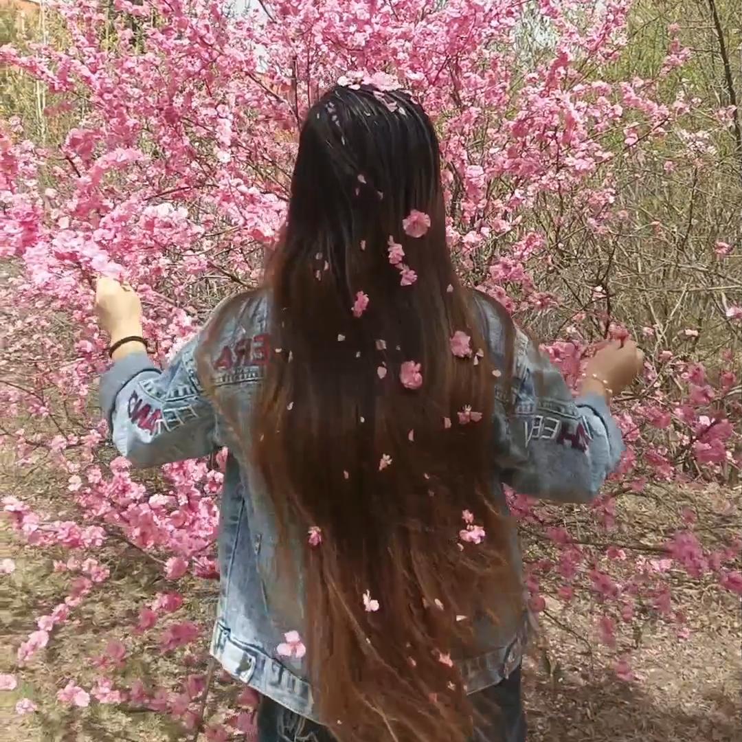 ❤️ℋ随心所欲 🥀
