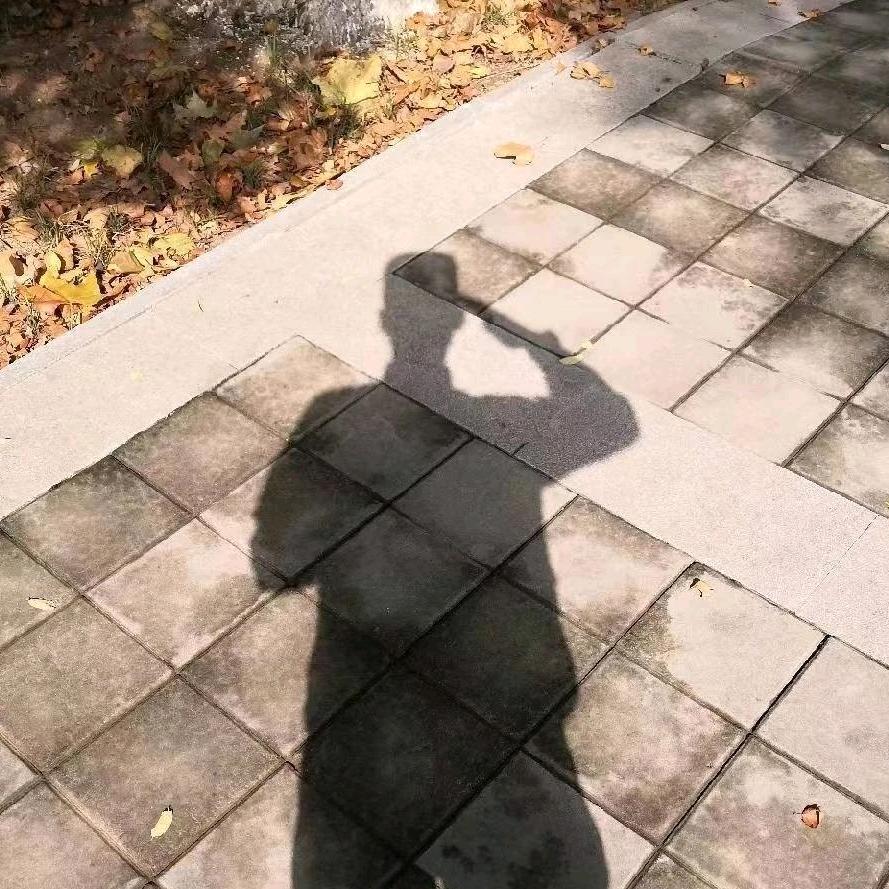 做个自由的骑士