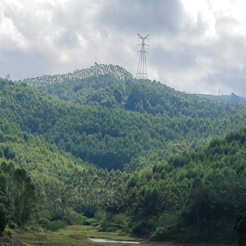 葵墉