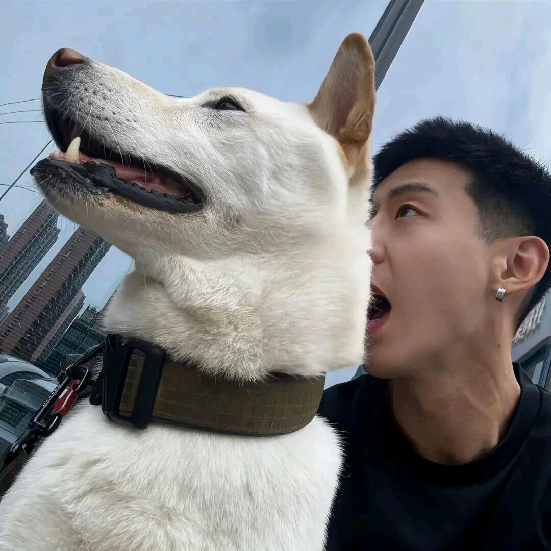 十一