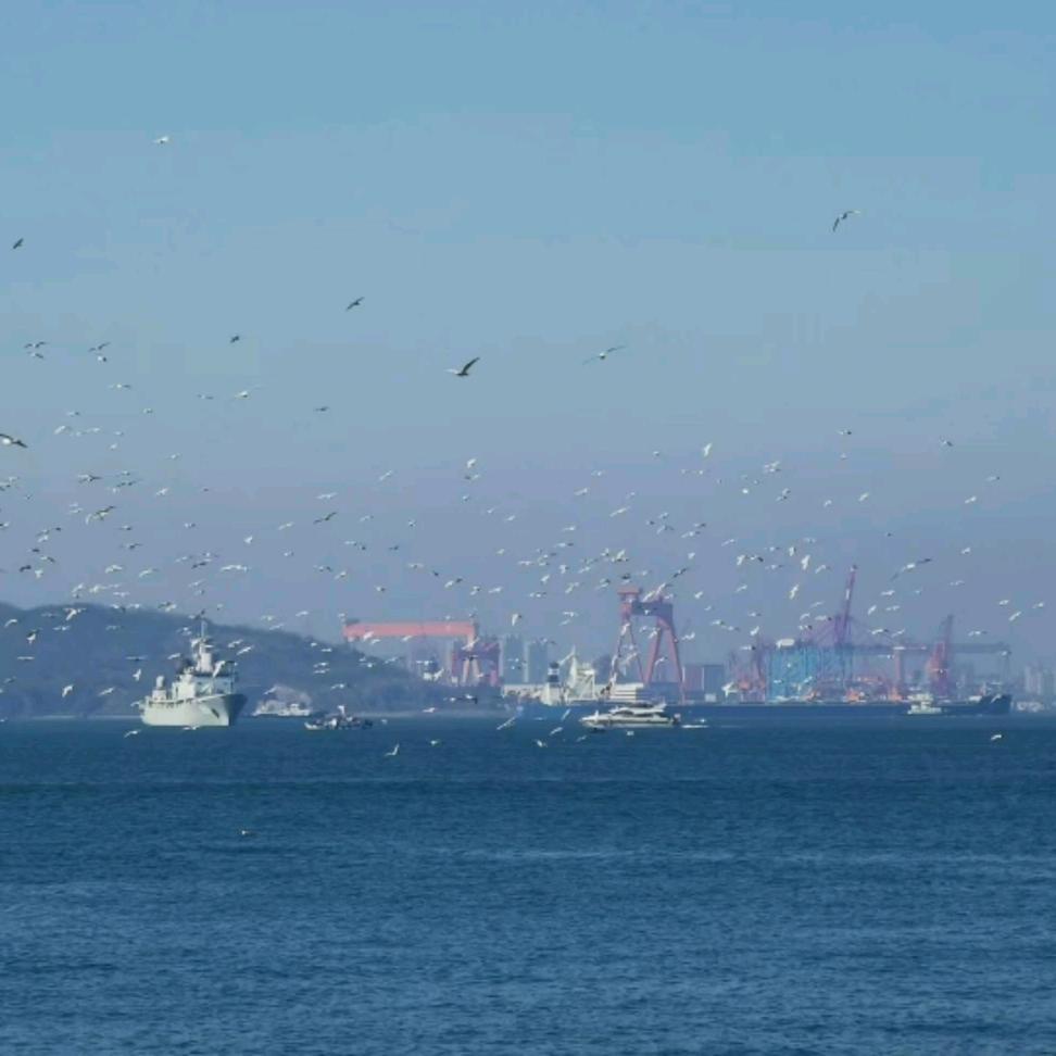 浮生若夢