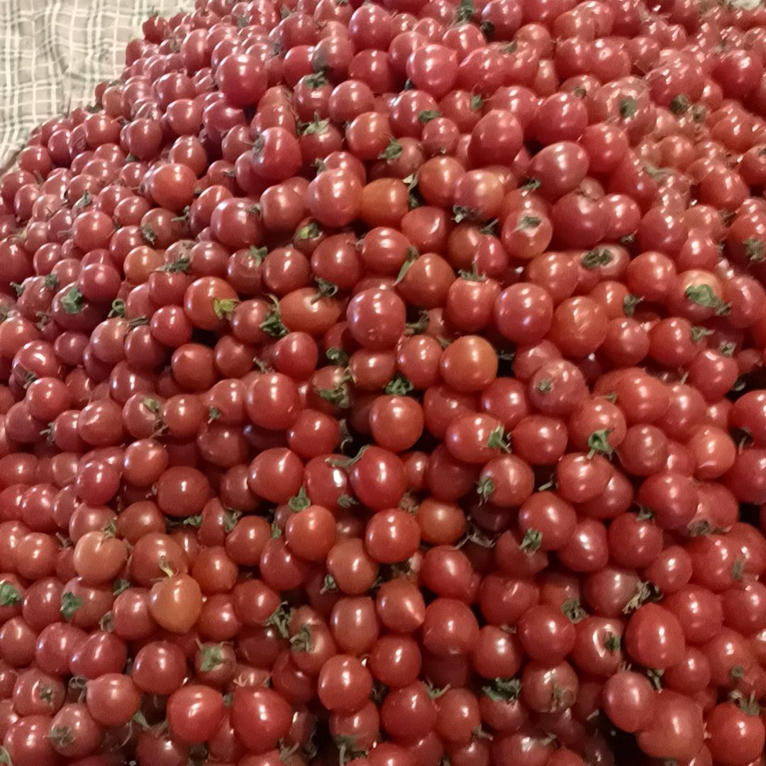 李先生🍓