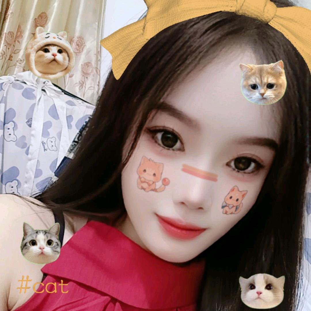 梦梦在杭州
