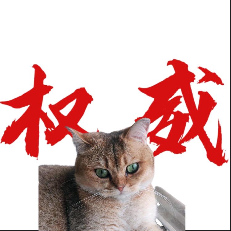 不会飞的小鸟