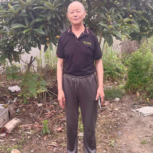 老狐狸（（甲午风云））