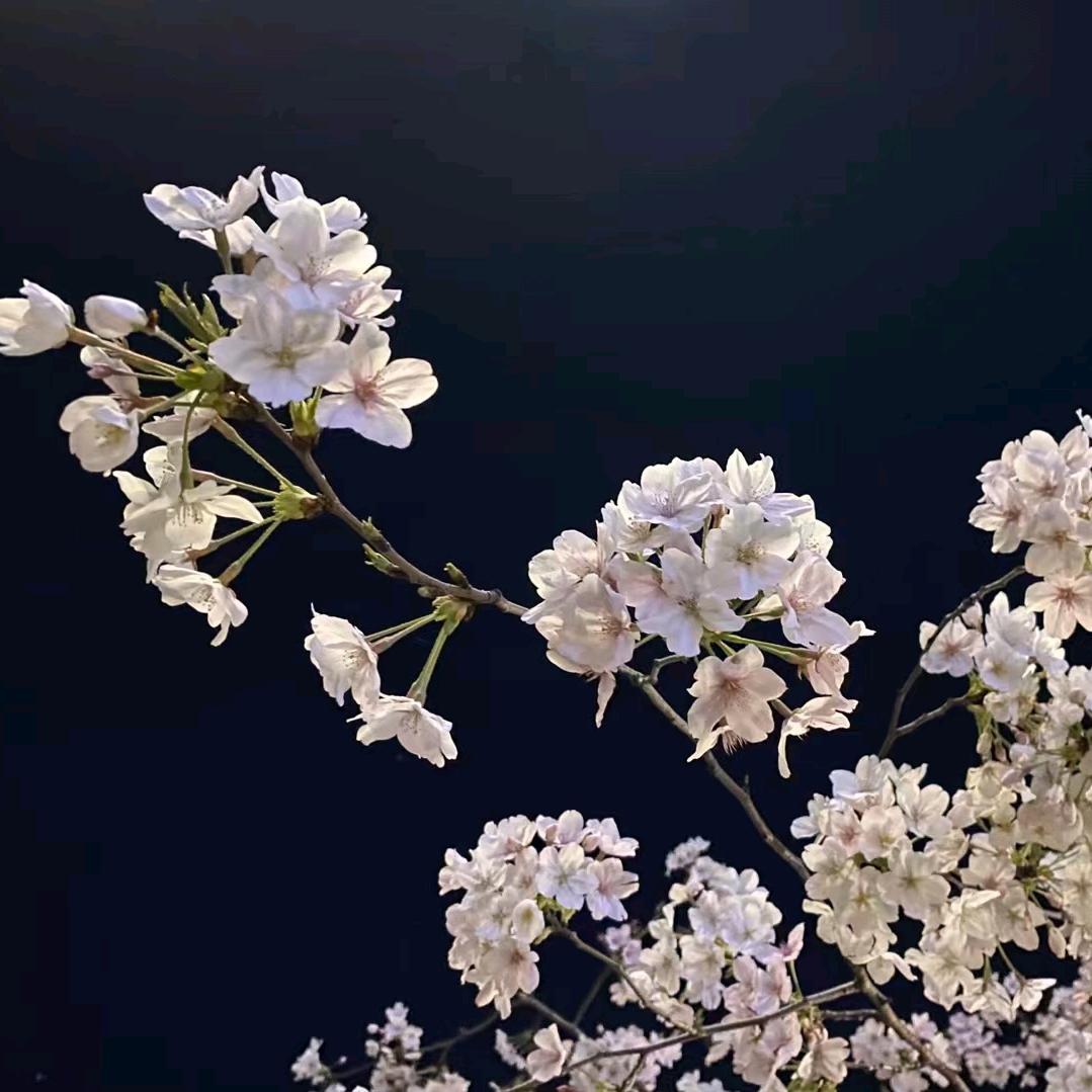 一笑而过