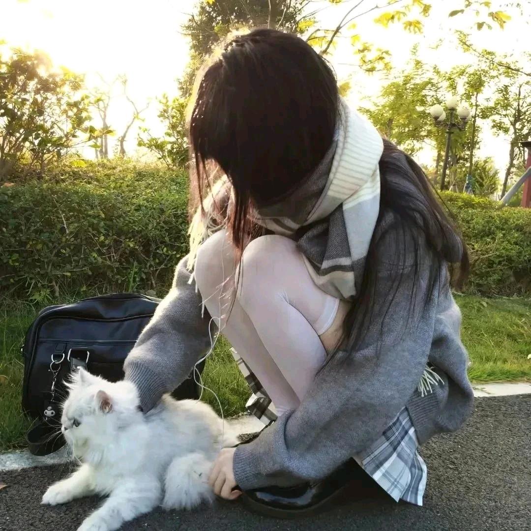 糕宝