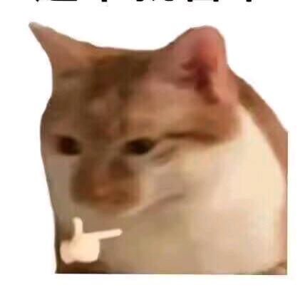 华夫饼模特（暖暖代肝版）