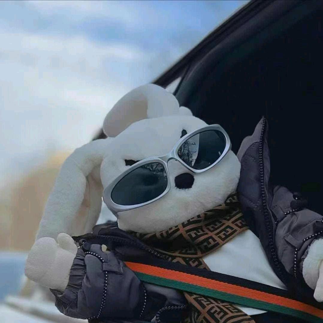 理想！