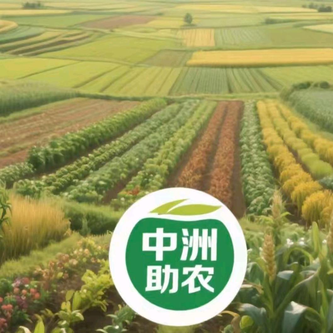 简单