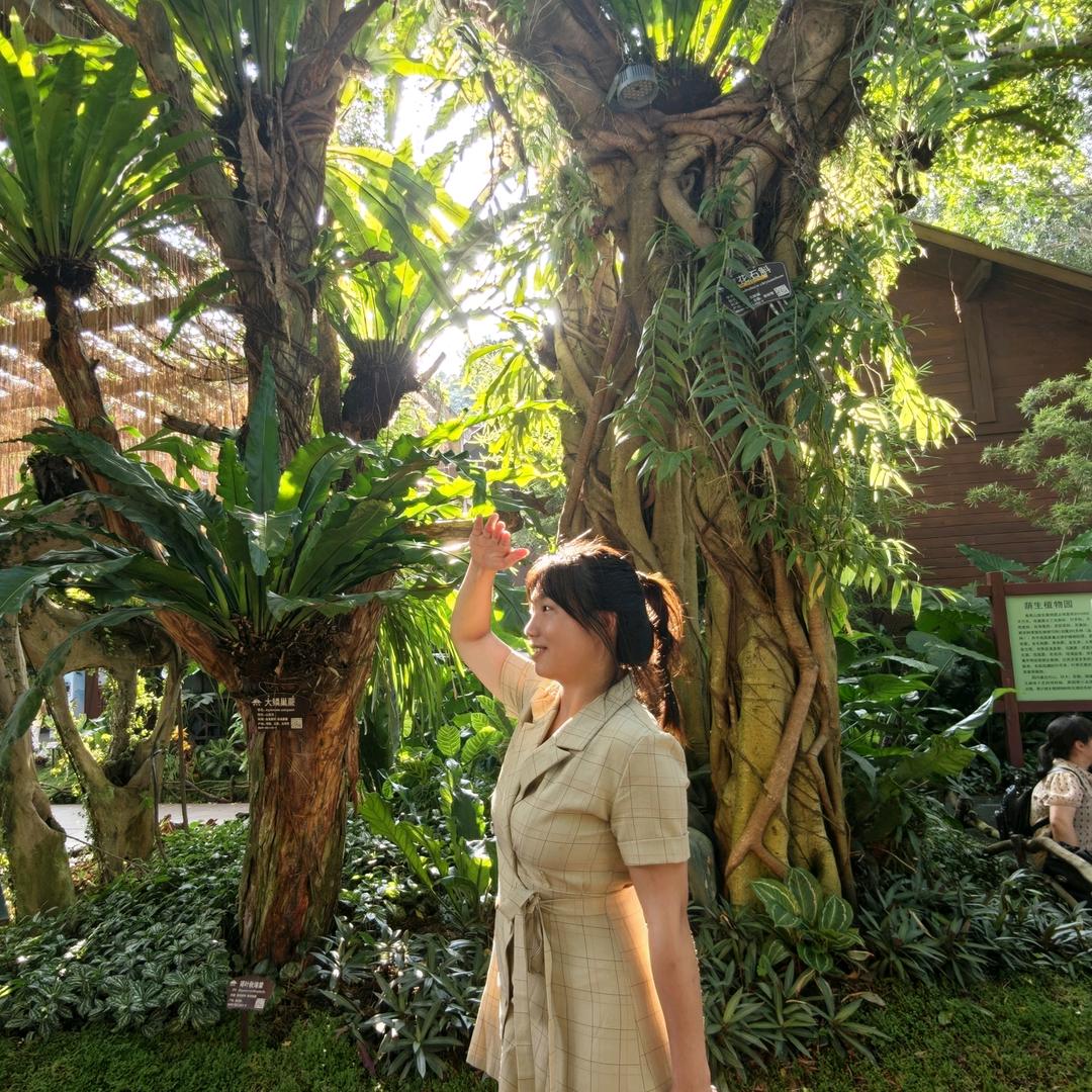 小木兰