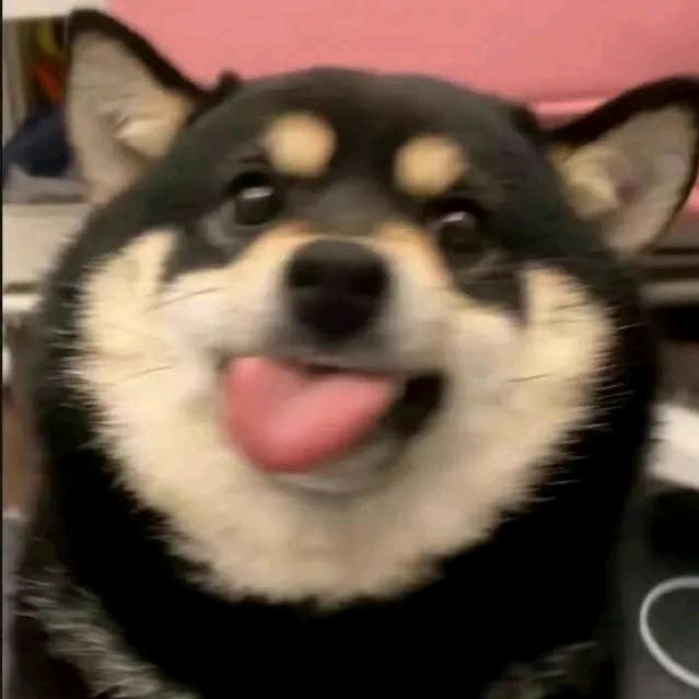 小V