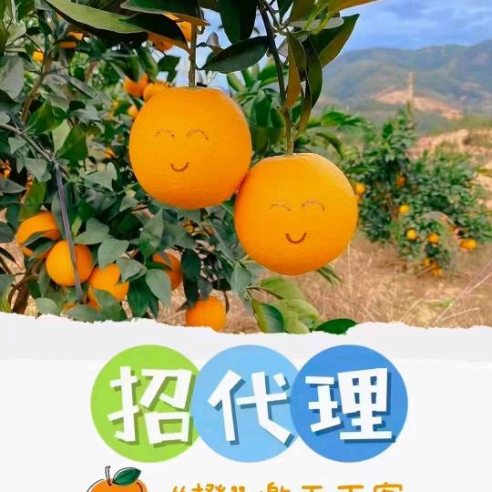 谁会真心疼你