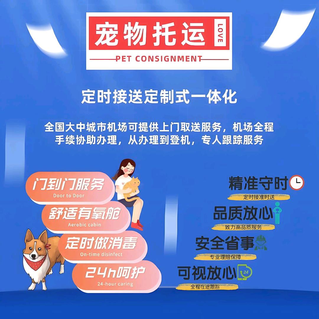 国际国内宠物托运