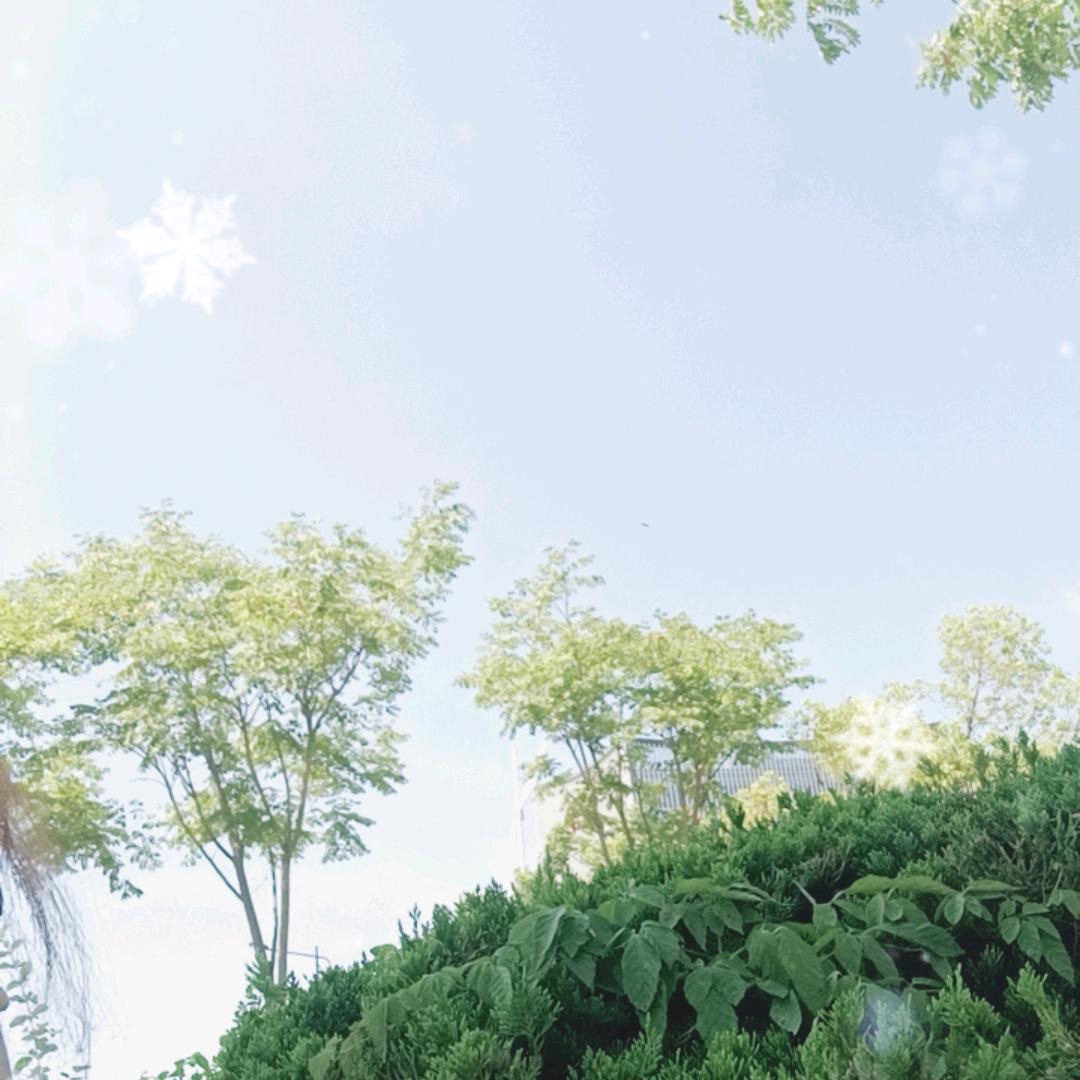 我是用你待我的方式来待你