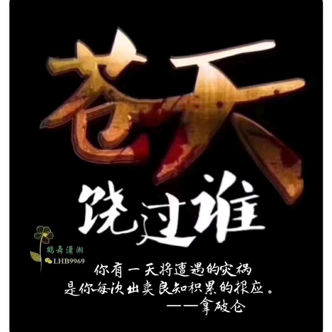 河南杉科门窗幕墙建筑工程有限公司