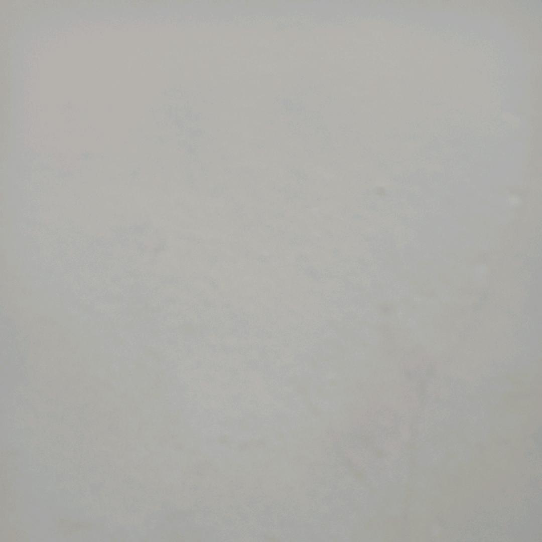 不好