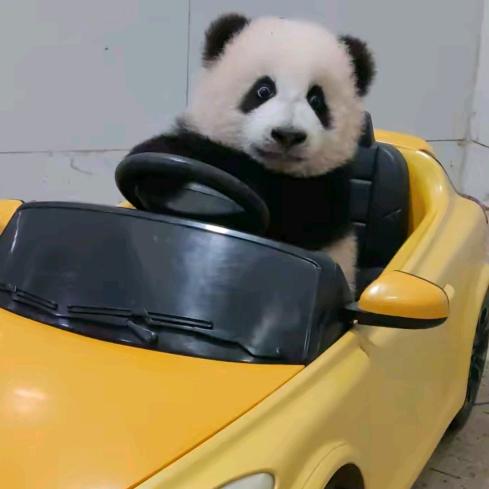凤英
